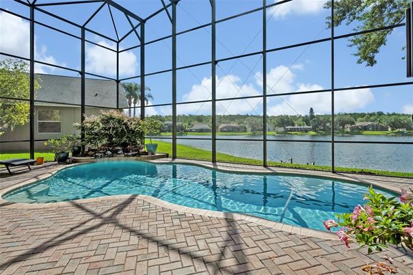 Glass Ceilings, Interior, Pool, Sun Room, Water