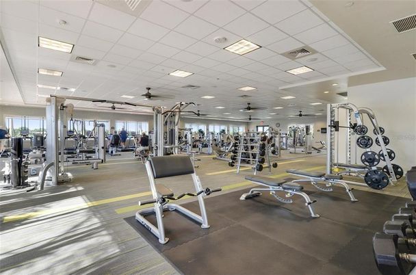 Fitness Equipment, Gym, Interior, Recessed Lighting