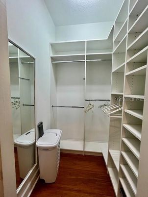 Interior, Walk-in Closets, Wood Texture Flooring