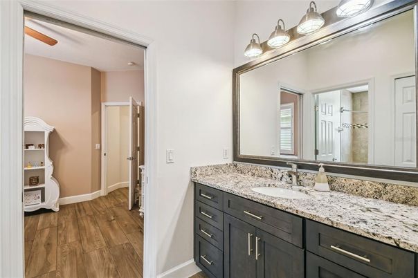 Bathroom, Dual Sink Vanities, Interior, Wood Texture Flooring