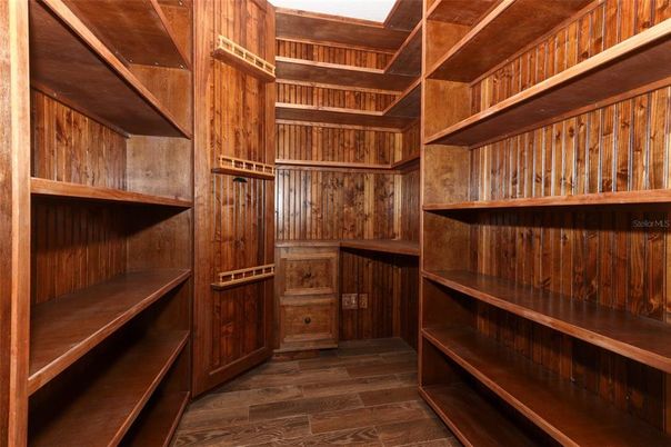 Interior, Walk-in Closets, Wood Texture Flooring