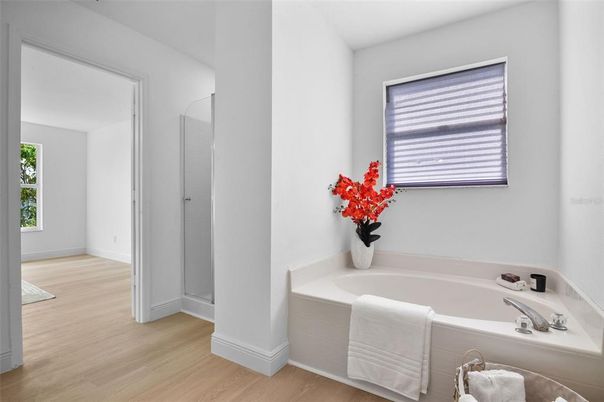 Bathroom, Interior, Wood Texture Flooring