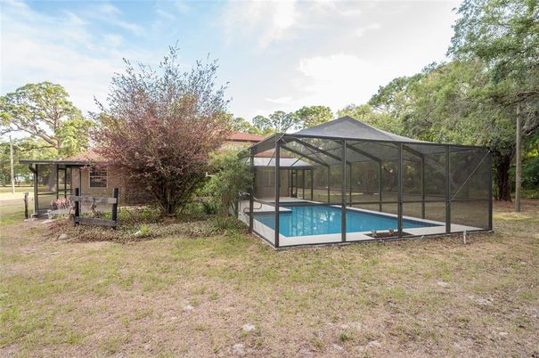 Backyard, Exterior, Pool