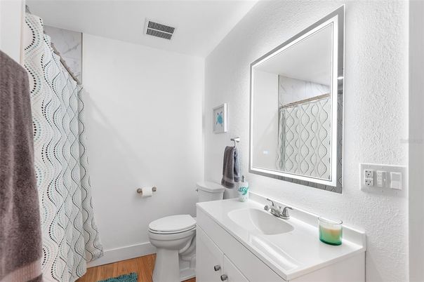 Bathroom, Interior, Wood Texture Flooring