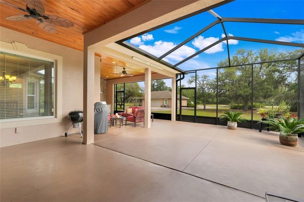 Glass Ceilings, Interior, Sun Room, Wooden Ceilings
