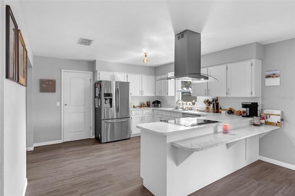 Interior, Kitchen, Stainless Steel Appliances, Wood Texture Flooring