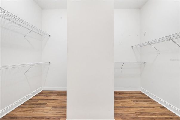 Interior, Walk-in Closets, Wood Texture Flooring