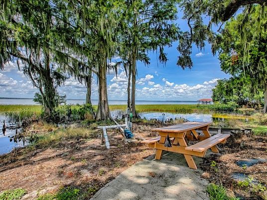 Backyard, Exterior, Water