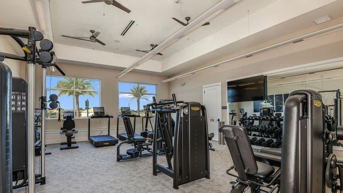 Fitness Equipment, Gym, Interior