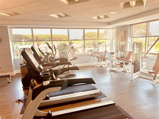Fitness Equipment, Gym, Interior, Recessed Lighting, Wood Texture Flooring