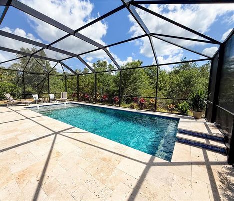 Glass Ceilings, Interior, Pool, Sun Room