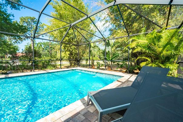 Glass Ceilings, Interior, Pool, Sun Room
