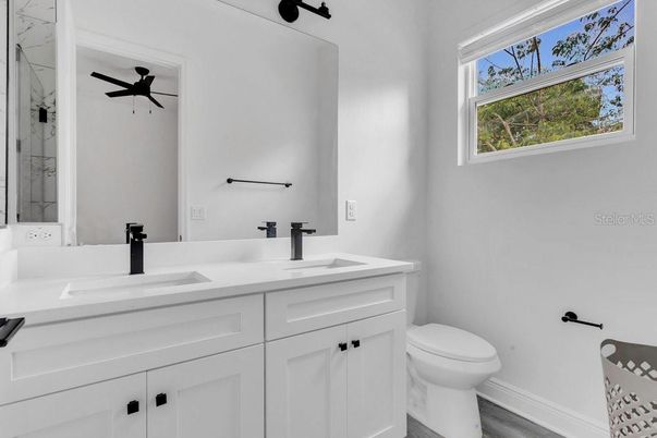 Bathroom, Dual Sink Vanities, Interior, Wood Texture Flooring