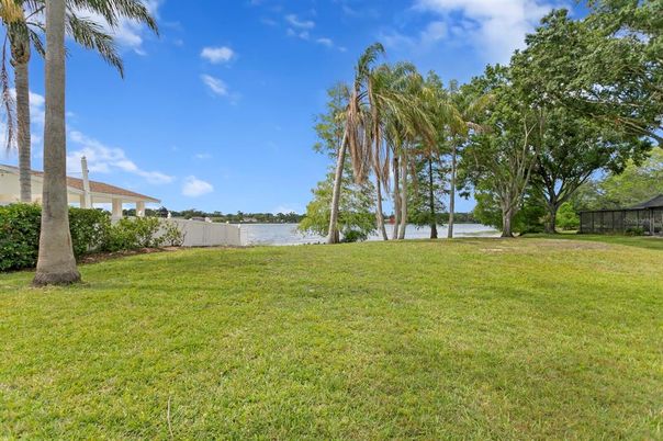Backyard, Exterior, Water