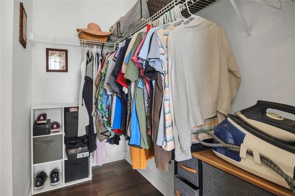 Interior, Walk-in Closets, Wood Texture Flooring