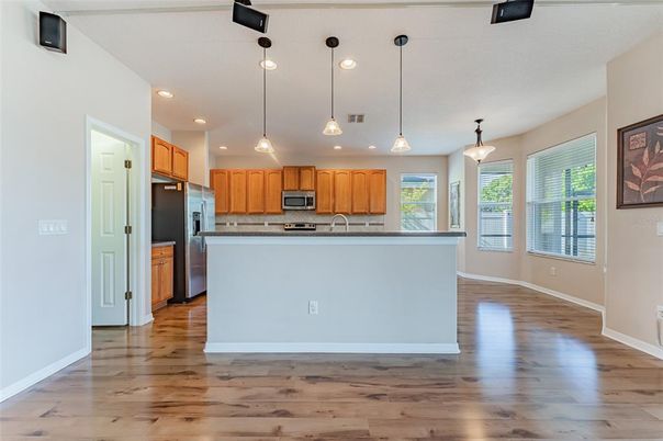 Interior, Kitchen, Pendant Lights, Recessed Lighting, Stainless Steel Appliances, Wood Texture Flooring