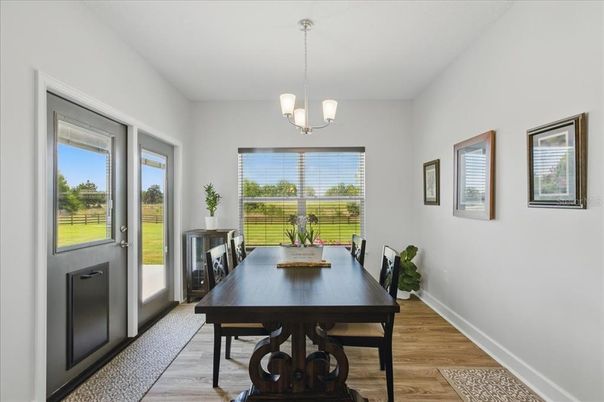 Dining room, Interior, Pendant Lights, Wood Texture Flooring