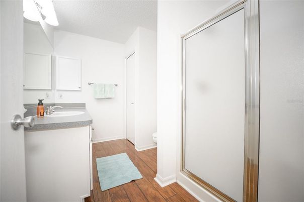Bathroom, Interior, Wood Texture Flooring