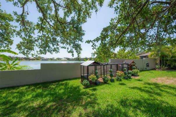 Backyard, Exterior, Water
