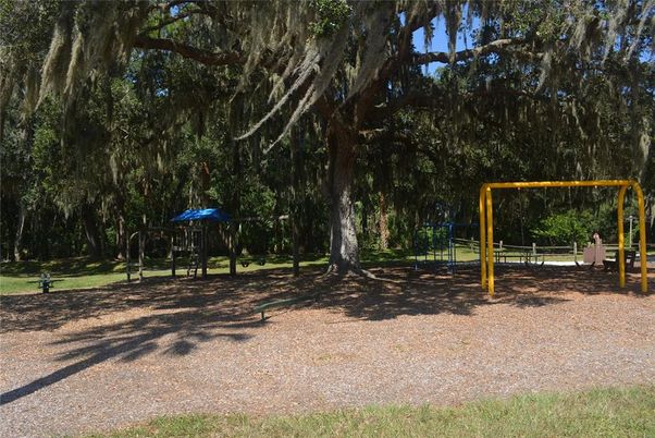 Backyard, Exterior, Playground