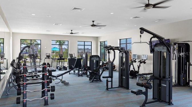Fitness Equipment, Gym, Interior, Recessed Lighting