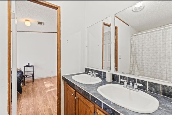 Bathroom, Dual Sink Vanities, Interior, Wood Texture Flooring