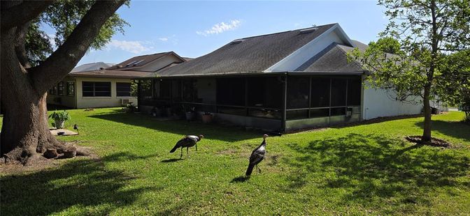 Backyard, Exterior