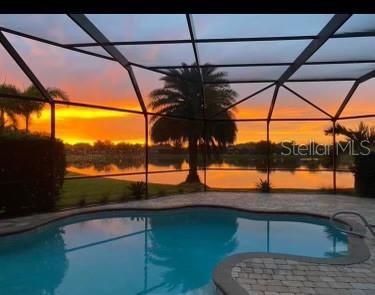 Glass Ceilings, Interior, Pool, Sun Room, Water