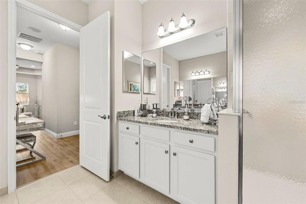 Bathroom, Dual Sink Vanities, Interior, Wood Texture Flooring
