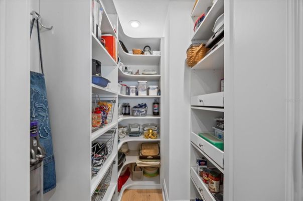 Interior, Recessed Lighting, Walk-in Closets, Wood Texture Flooring