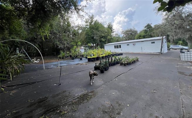 Backyard, Detached Garage, Exterior