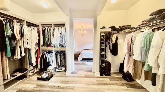 Interior, Walk-in Closets, Wood Texture Flooring