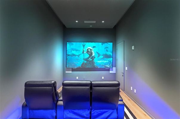 Interior, Recessed Lighting, Theatre Room