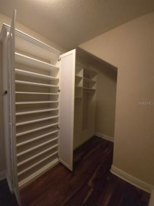 Interior, Walk-in Closets, Wood Texture Flooring
