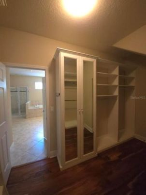 Interior, Walk-in Closets, Wood Texture Flooring