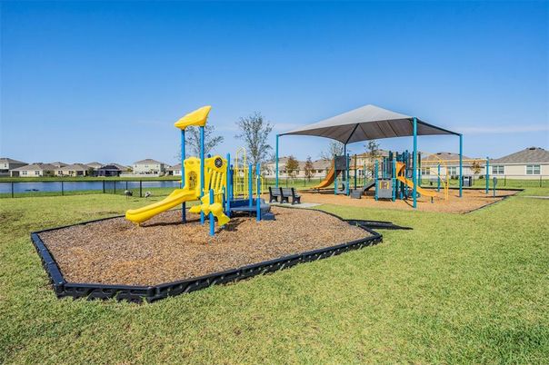 Backyard, Exterior, Playground
