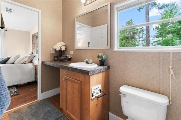 Bathroom, Interior, Wood Texture Flooring