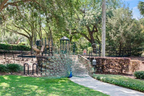 Backyard, Exterior, Playground