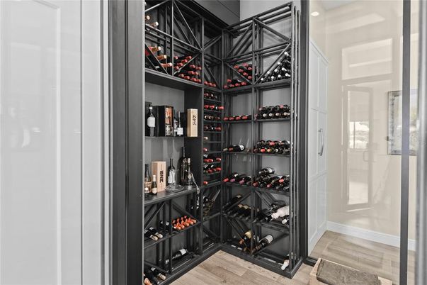 Interior, Wine Storage, Wood Texture Flooring