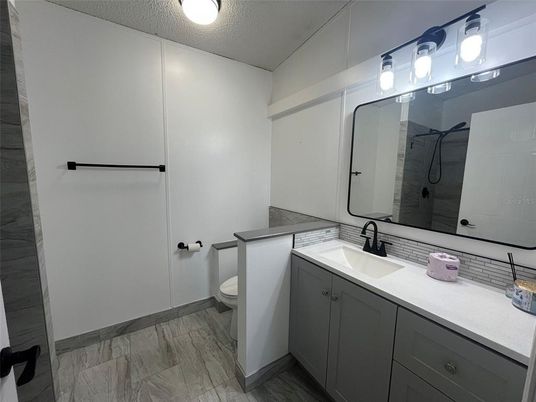 Bathroom, Interior, Wood Texture Flooring