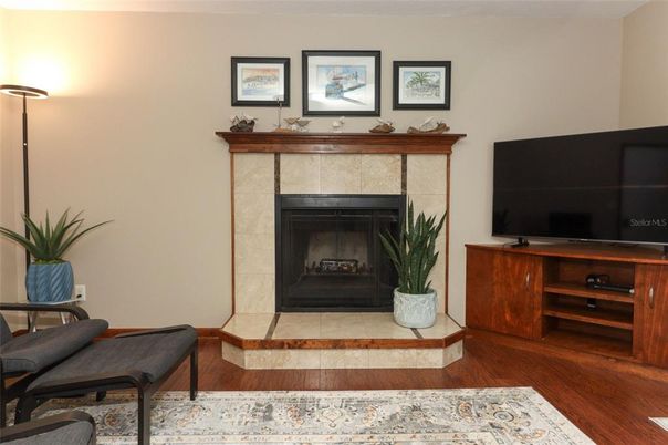 Fireplace, Interior, Wood Texture Flooring