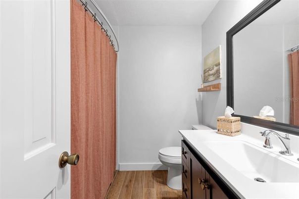 Bathroom, Interior, Wood Texture Flooring