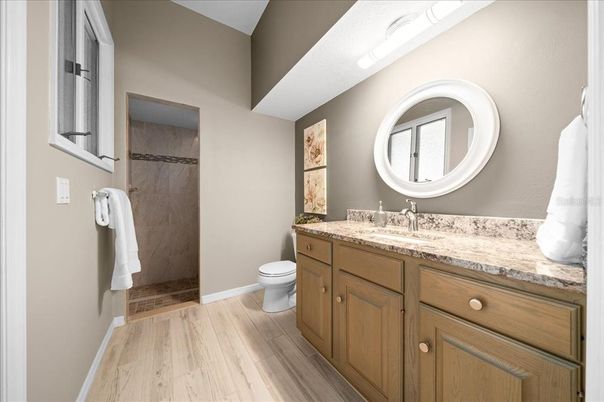 Bathroom, Interior, Wood Texture Flooring