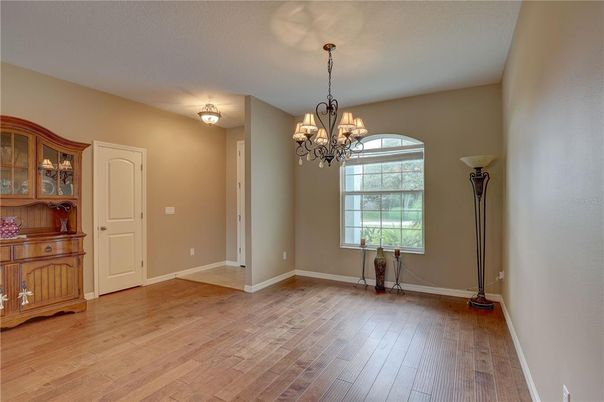 Chandelier, Interior, Wood Texture Flooring