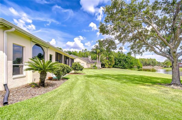Backyard, Exterior, Water