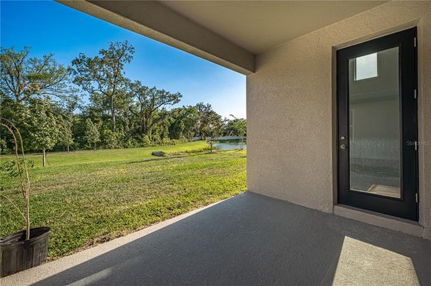 Backyard, Exterior, Water