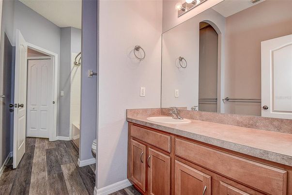 Bathroom, Dual Sink Vanities, Interior, Wood Texture Flooring