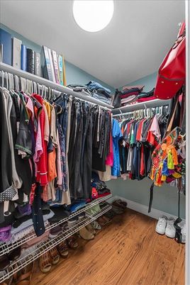 Interior, Recessed Lighting, Walk-in Closets, Wood Texture Flooring