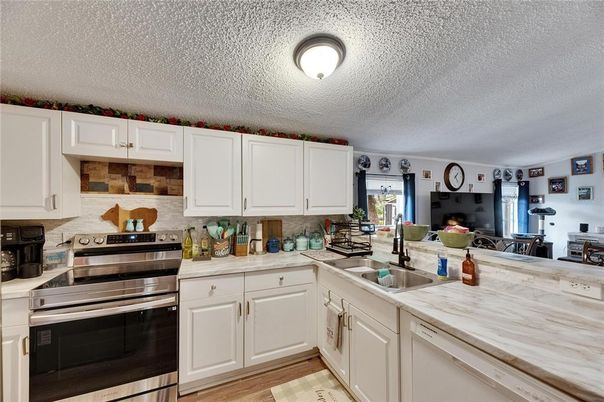 Interior, Kitchen, Stainless Steel Appliances, Wood Texture Flooring