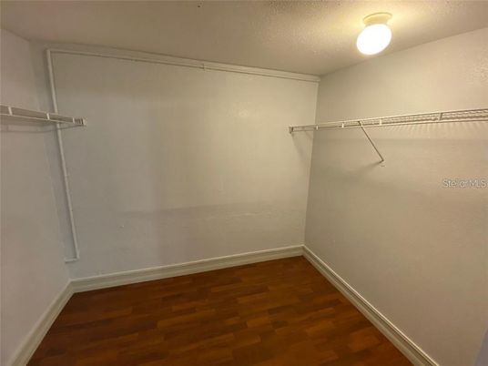 Interior, Walk-in Closets, Wood Texture Flooring
